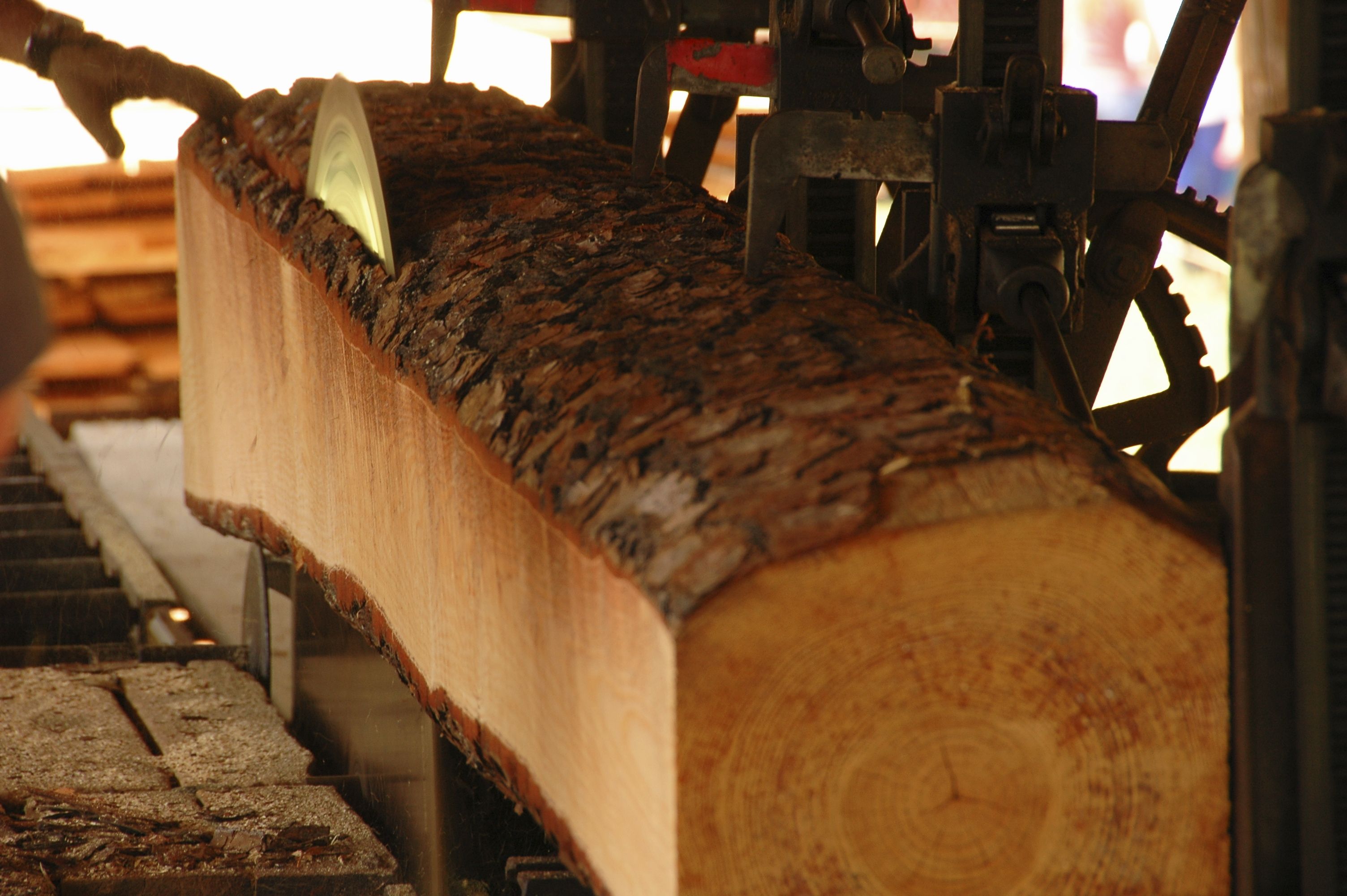 механическая древесина